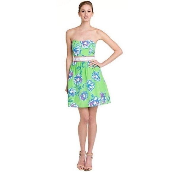 Lilly Pulitzer Langley Silk Cotton Blend Dress in New Green Tossed Size 0 NWT - Picture 3 of 13